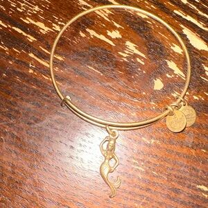Alex and ani retired